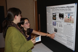 Honor Scholar poster3 2009.JPG